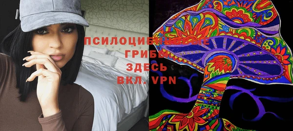 a pvp Алексеевка