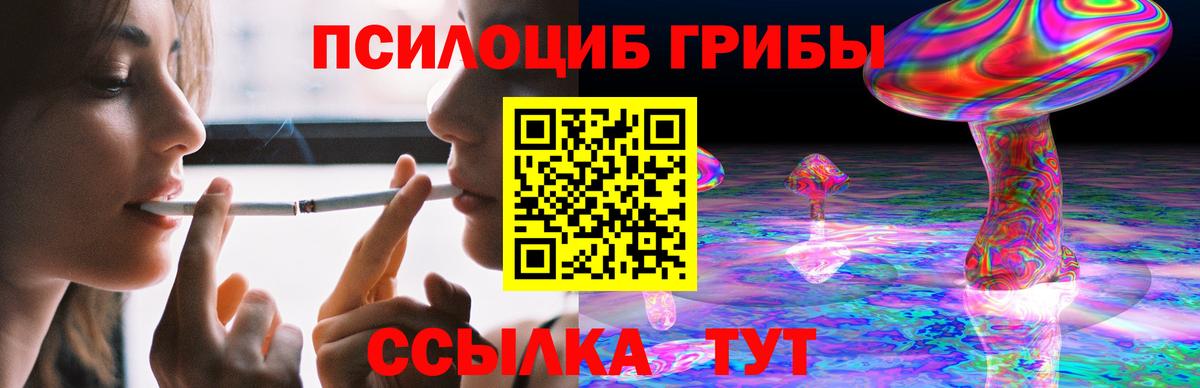 Галлюциногенные грибы Cubensis Тобольск